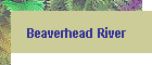 Beaverhead River